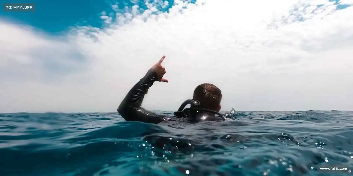 我们的核心竞争力